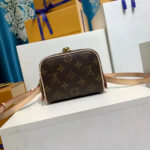 Louis Vuitton JUST IN CASE bag Brown